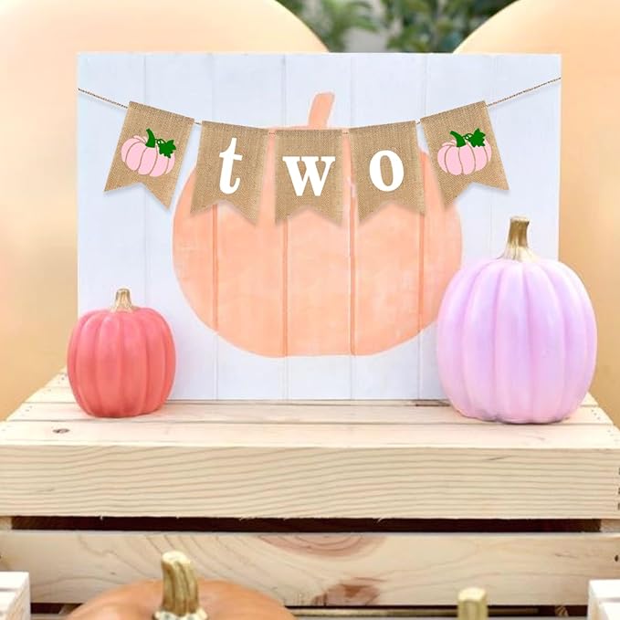 Two Pumpkin Banner 2nd Birthday Party Decoration Little Pumpkin Fall Autumn Second Birthday Highchair Burlap Garlands Pink