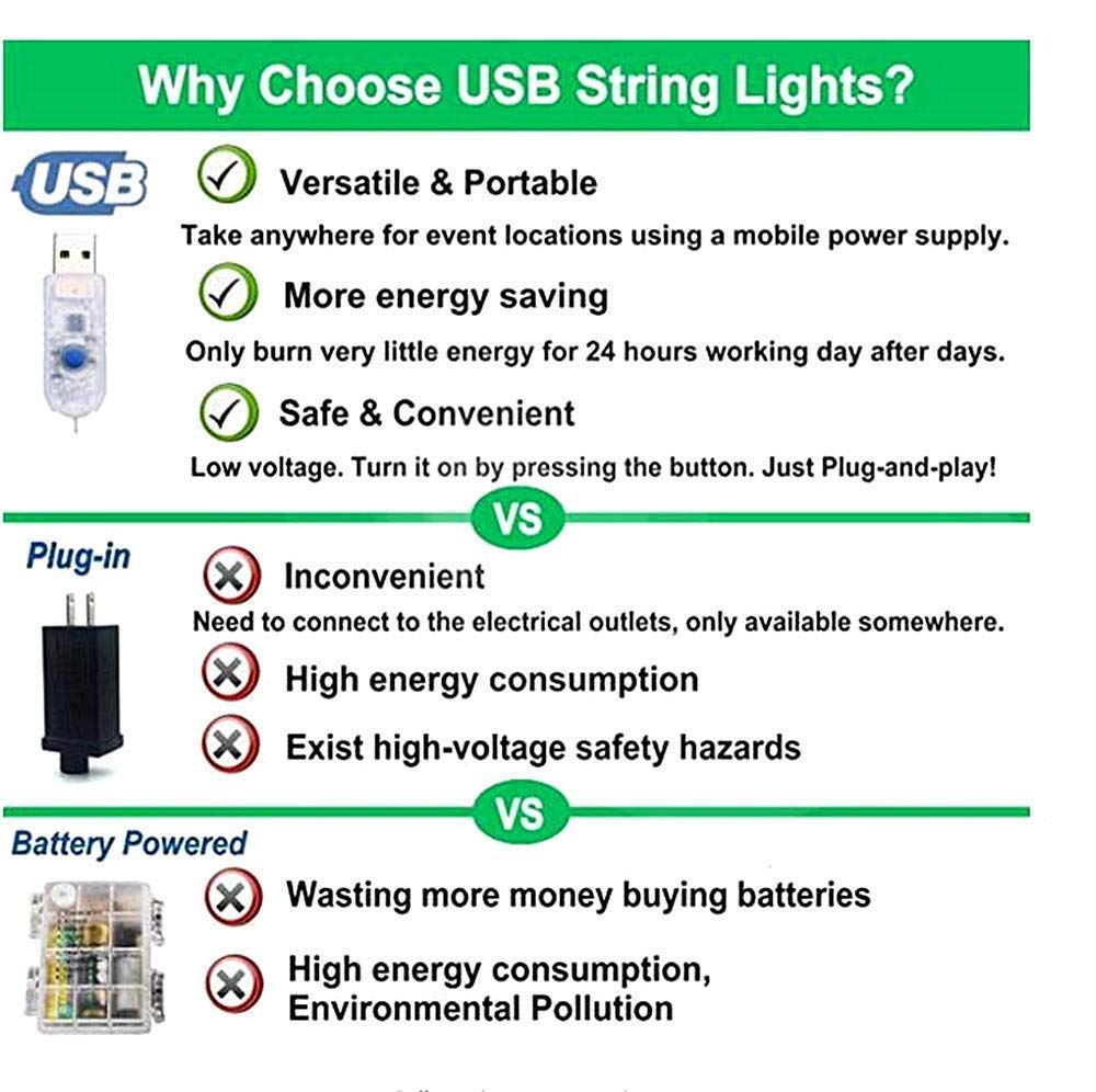 Liyuanq 40 Led Photo Clip String Lights, Usb Operated, Warm White, 8 Modes, Ideal For Bedroom Decoration, Model Fs-D030