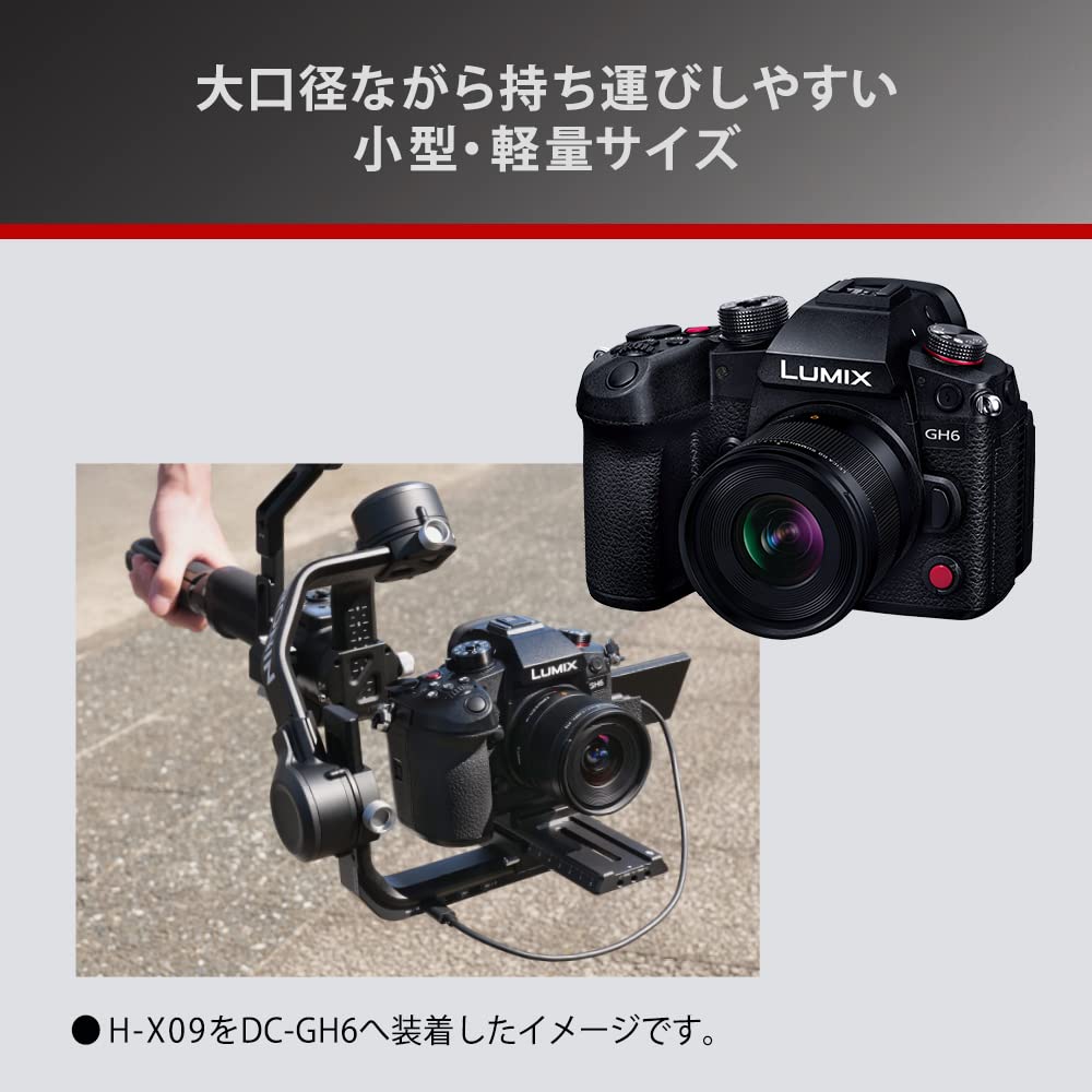 Panasonic H-X09 Wide Angle Monofocal Lumix Camera Lens Interchangeable Lens For Dslr Cameras