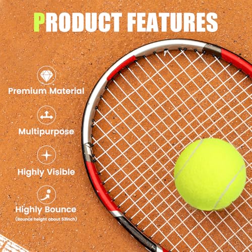 MRYCZ FYRHD 24 Pack Tennis Balls, Training Tennis Balls, Pet Dog Playing Balls, Practice Tennis Balls with Mesh Bag for Tr...