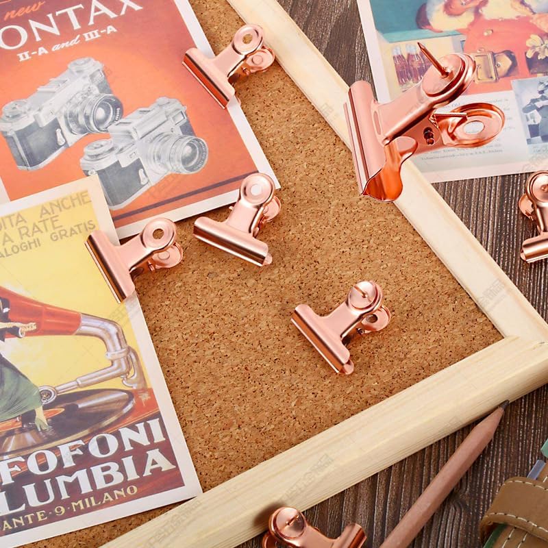 10 Pack Bulldog Clips with 10 Push-pins, Paper File Clips with Strong Spring, Large Metal Binder Clips, Seal Clamps for Coffee Tea Food Bags(Rose Gold,2.5inch)