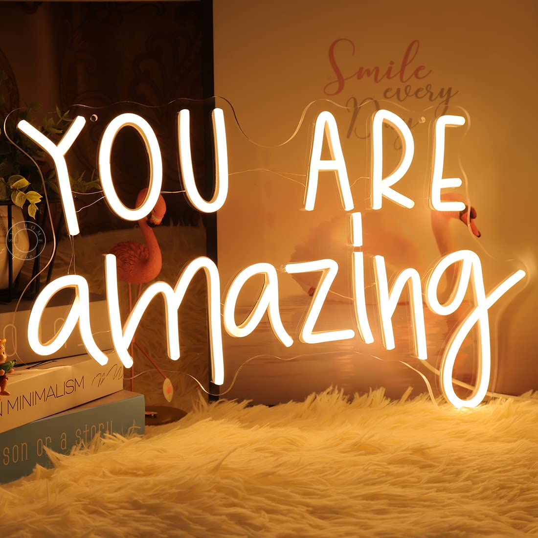 Sylhome Led Neon Light Sign - You Are Amazing, 16.9 X 10.6, Warm White Acrylic Decor For Bedroom, Classroom, Birthday & Christmas Gift
