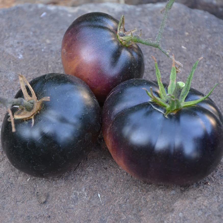 Palm Beach Medicinal Herbs - Black Beauty Tomato - Packet of 20 Seeds