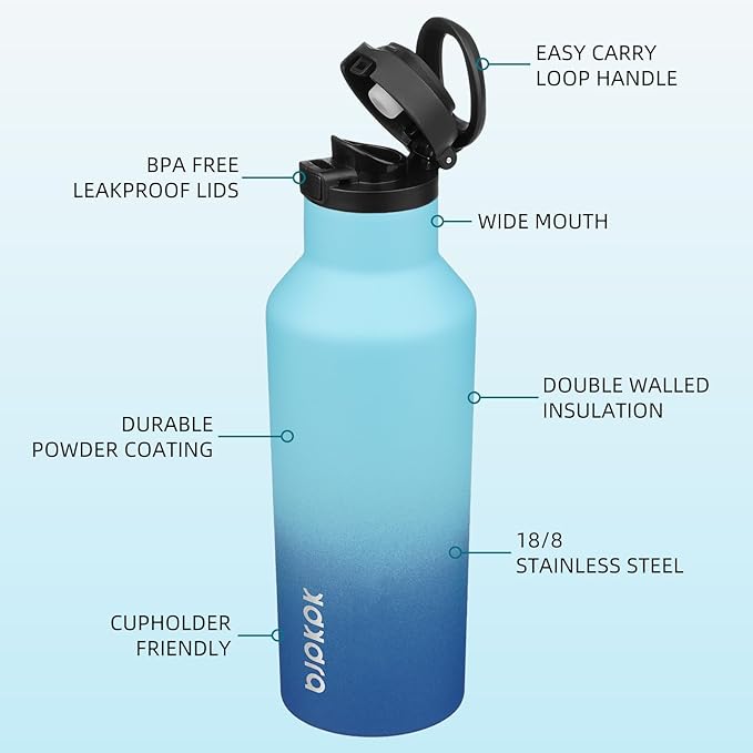 BJPKPK Insulated Water Bottle With Straw 17oz Stainless Steel Water Bottles With 2 Lids And Carry Handle Reusable Travel Metal Thermal Flask,Sky