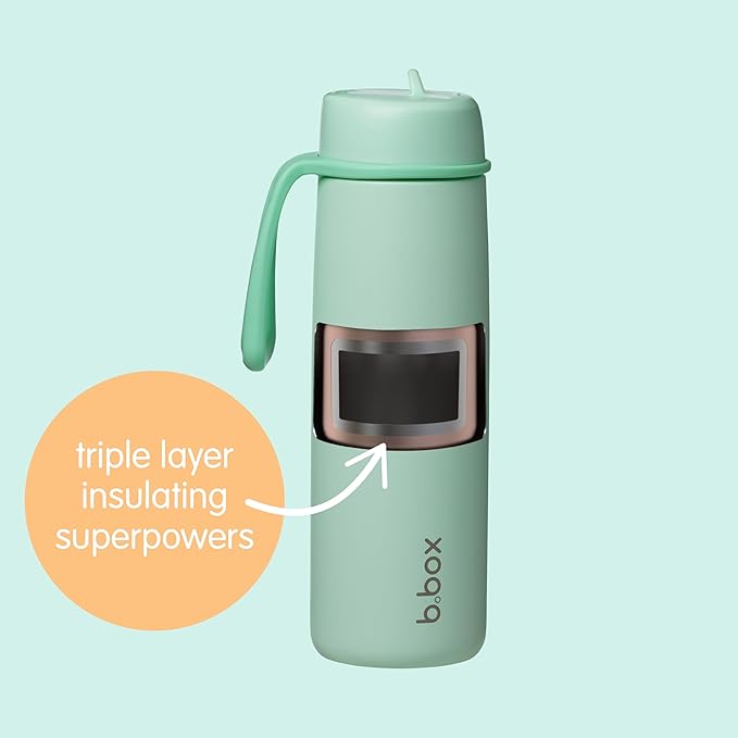 b.box Triple Insulated 23oz Water Bottle w/Stainless Steel Straw. 44 Hours Cold. Leak Proof Tumbler with Lid and Straw for Travel, Gym & School. BPA Free Sports Water Bottles.