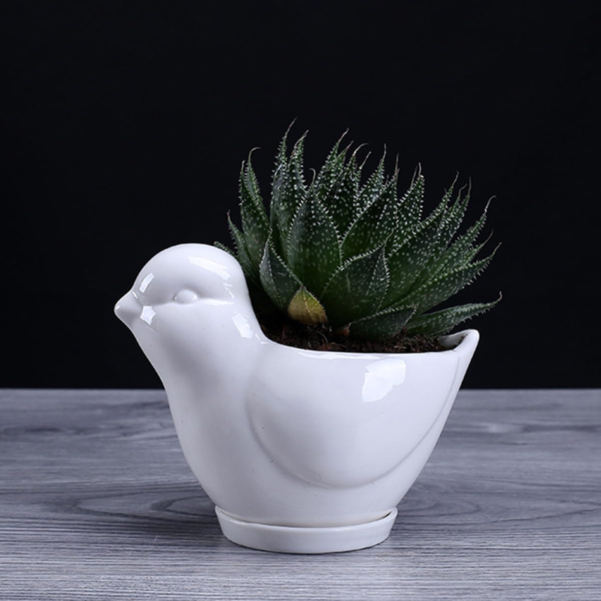 Mikikit Ceramic Bird Shape Succulent Plant Pot with Saucer, White Small Indoor Flower Planter for Desktop Garden Decor