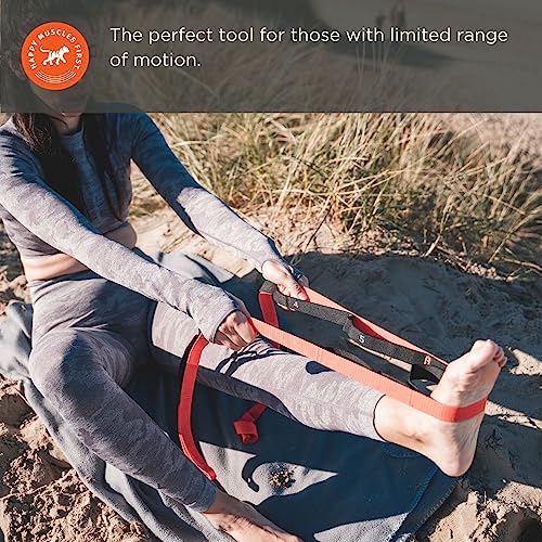 Tiger Tail The Stretchy Tiger 80” - Stretch/Yoga Strap with 10 Numbered Loops for Yoga, Physical Therapy, Pilates, & Exerc...