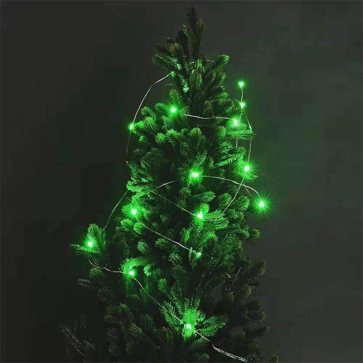 Everfit Lighting 2 Pack Battery Operated Mini LED Fairy Lights, 30 LEDs, 10ft Silver Wire, Green, Timer 6 Hours On/18 Hours Off