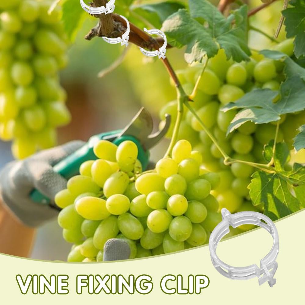 Plant Fixing Clip, Tomato Clips for String Trellis, Plant Wall Clips for Climbing Plants, Plant Wall Clips for Climbing Plants, Fixing Stem and Vine, Plastic Trellis Clips (White-150pcs)