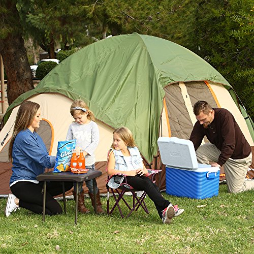 LIFETIME 280488 Compact Folding Low Side Table for Camping, Brown
