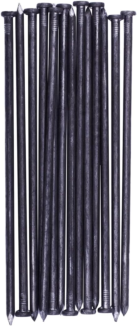 Metal Landscape Edging Anchoring Spikes, 200PCS 10 Inch Landscape Paver Edging Anchoring Spikes for Artificial Turf, Weed Barrier, Tent Spikes, Camping (200)