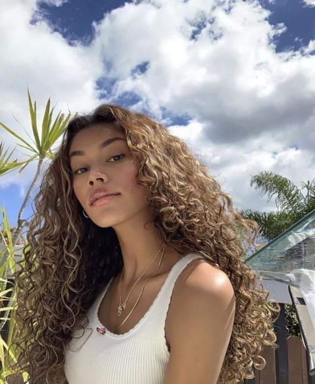 SAPPHIREWIGS Curly Lace Front Wigs For Black Women Long Loose Deep Curly Grayish Brown Heat Resistant Pre Plucked Natural Hairli