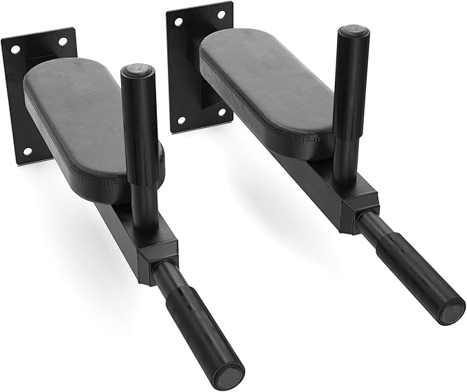 Synergee Wall Mounted Dip Station. Dip Bars for L Sits, Knee Raises, and More! Gymnastics and Upper Body Fitness Training....