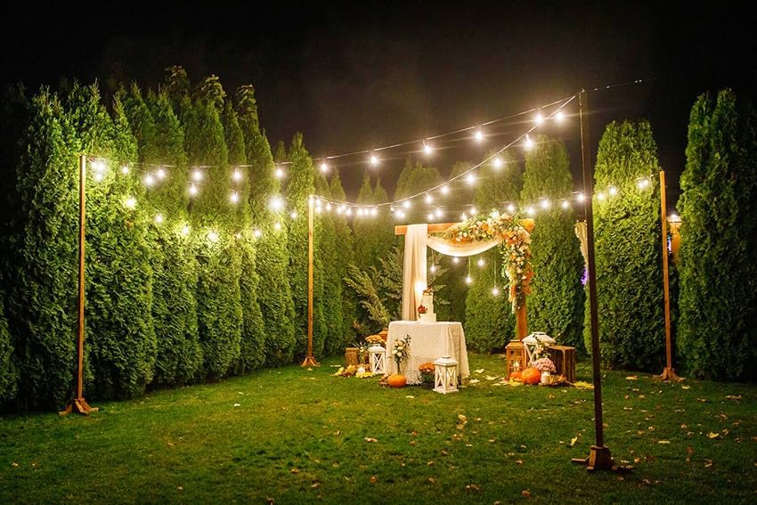 Afirst 20Ft Outdoor String Lights - 22 Edison Bulbs, Waterproof Black Bistro Lights For Patio, Backyard, Party, Wedding