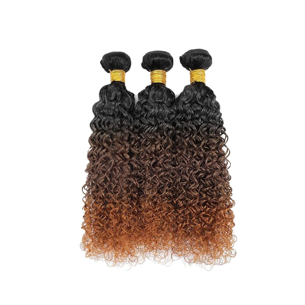 Lagalaga Bundles Human Hair 22 24 26 Inch Jerry Curly Human Hair Bundles Omber Natural Chocolate Brown T1B/4/30Unprocessed Brazi