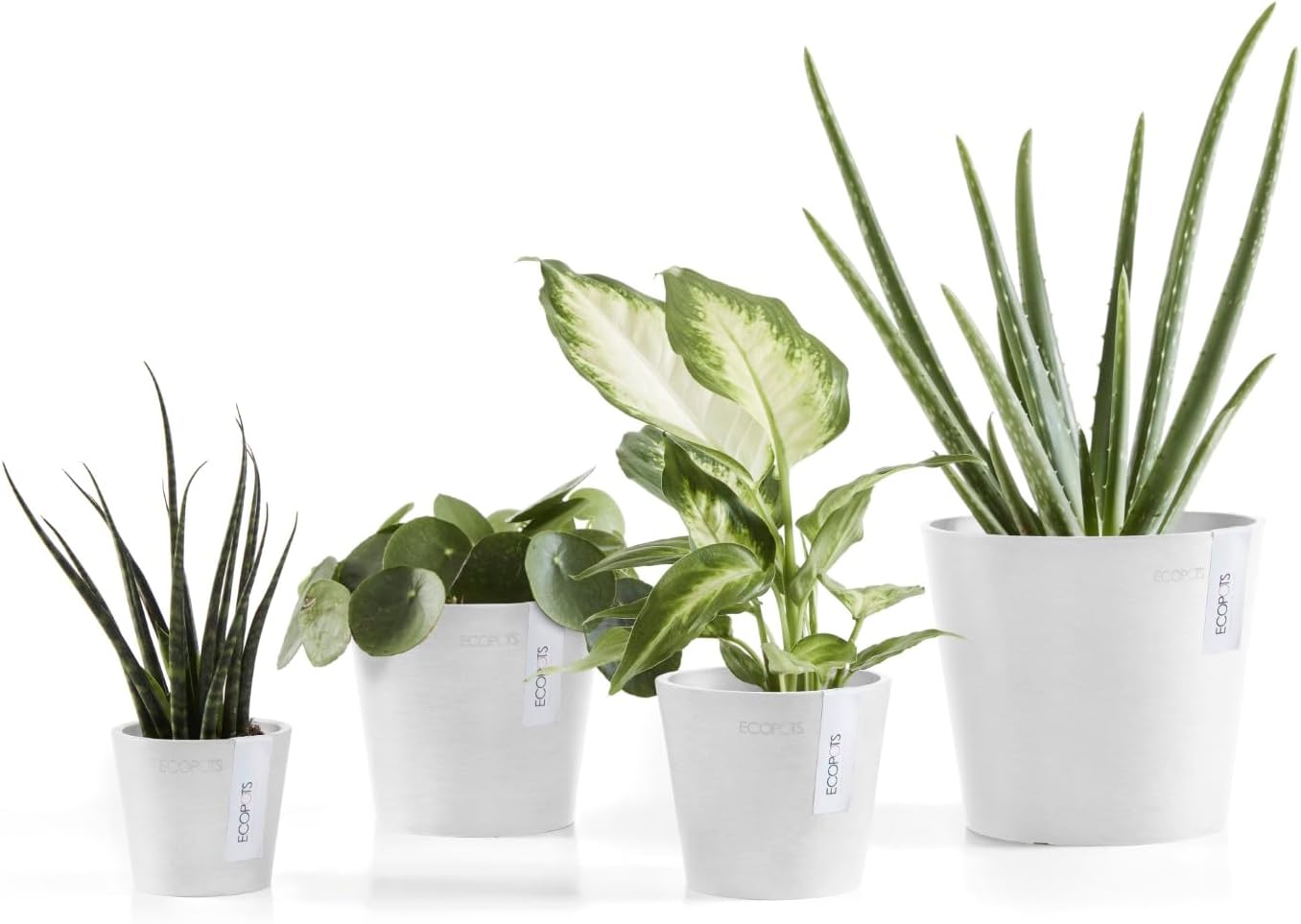 Ecopots Amsterdam Mini Durable Modern Round Recycled-Based Composite Flower Pot Planter, Pure White, 4"