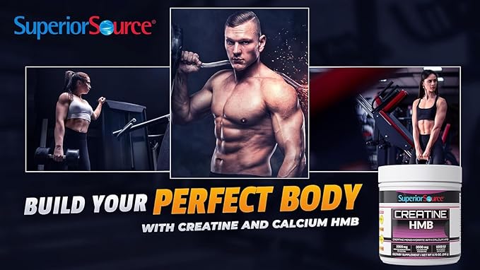 Superior Source Creatine HMB - Creatine Monohydrate for Muscle, Recovery & Exercise Support - Dye-Free - Unflavored, 8.75 oz