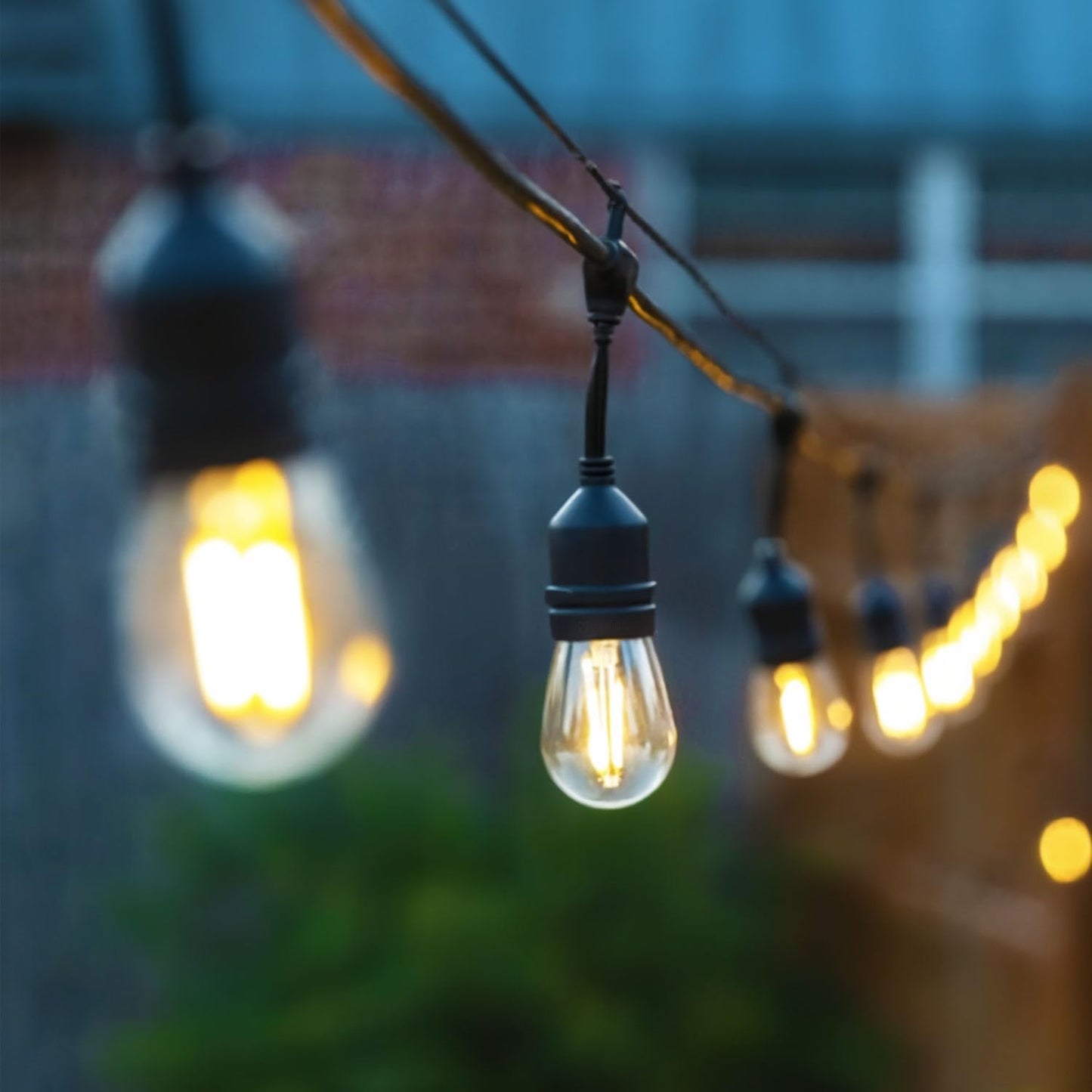 NIOSTA 24Ft Outdoor LED String Lights, 12 Dimmable Vintage Bulbs, Glass, 2700K, Model 43237-2