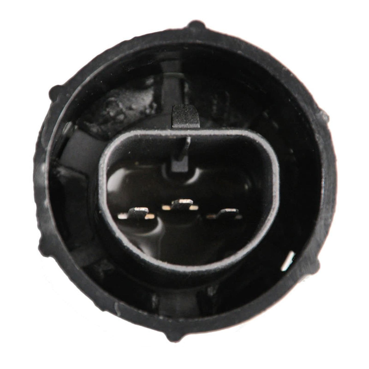 Trq Lighting Kit Compatible With 1998-2000 Ford Ranger Fo2502151 Fo2503151 Fo2520144 Fo2521144 Fo2592198 Fo2593198