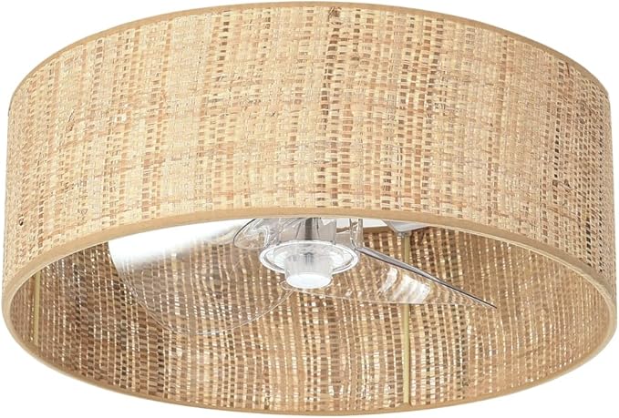 Boho Small Reversible DC Ceiling Fan with Light Fixture and Remote Control ,Flush Mount Drum Caged Enclosed Round Cage Low Profile Fandelier for Bedroom Indoor Kitchen Nursery Office Dining Room
