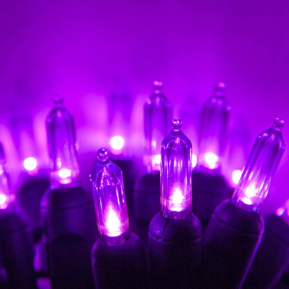 Wintergreen Lighting LED Mini String Lights, 50 Purple Lights, 25.5 ft Green Wire, Indoor/Outdoor, Model IOS-2-25-2
