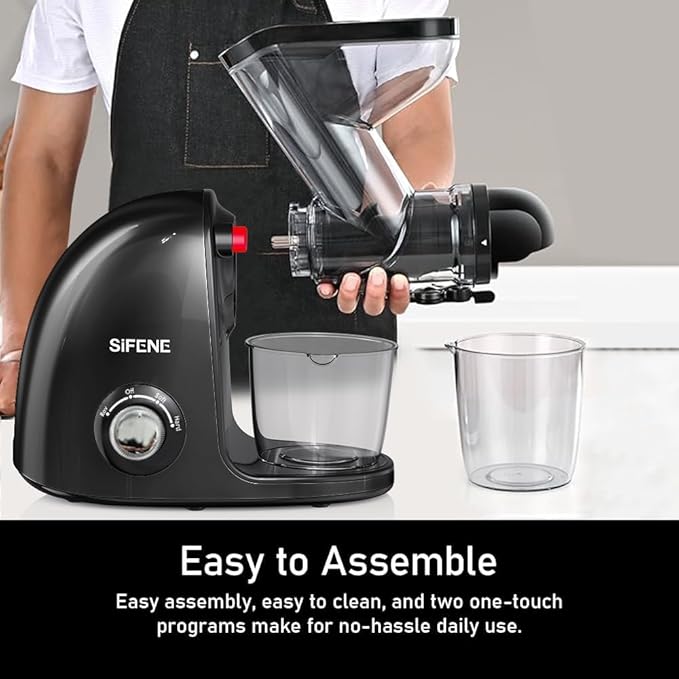 Slow Masticating Cold Press Juicer Machine - Dual Mouth, Quiet Motor, Anti-Clog, Black