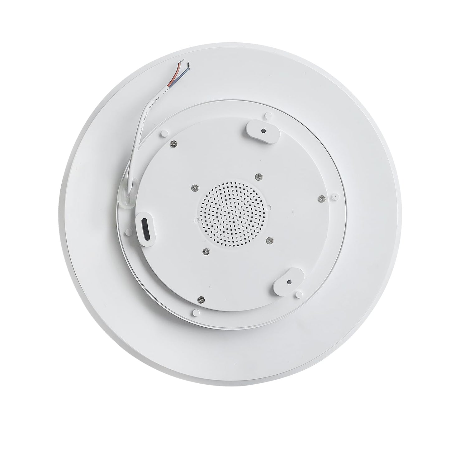 HOREVO Bathroom Ceiling Light with Bluetooth Speaker, 24W Dimmable, LED Flush Mount, Silver, Model X002, Large Size
