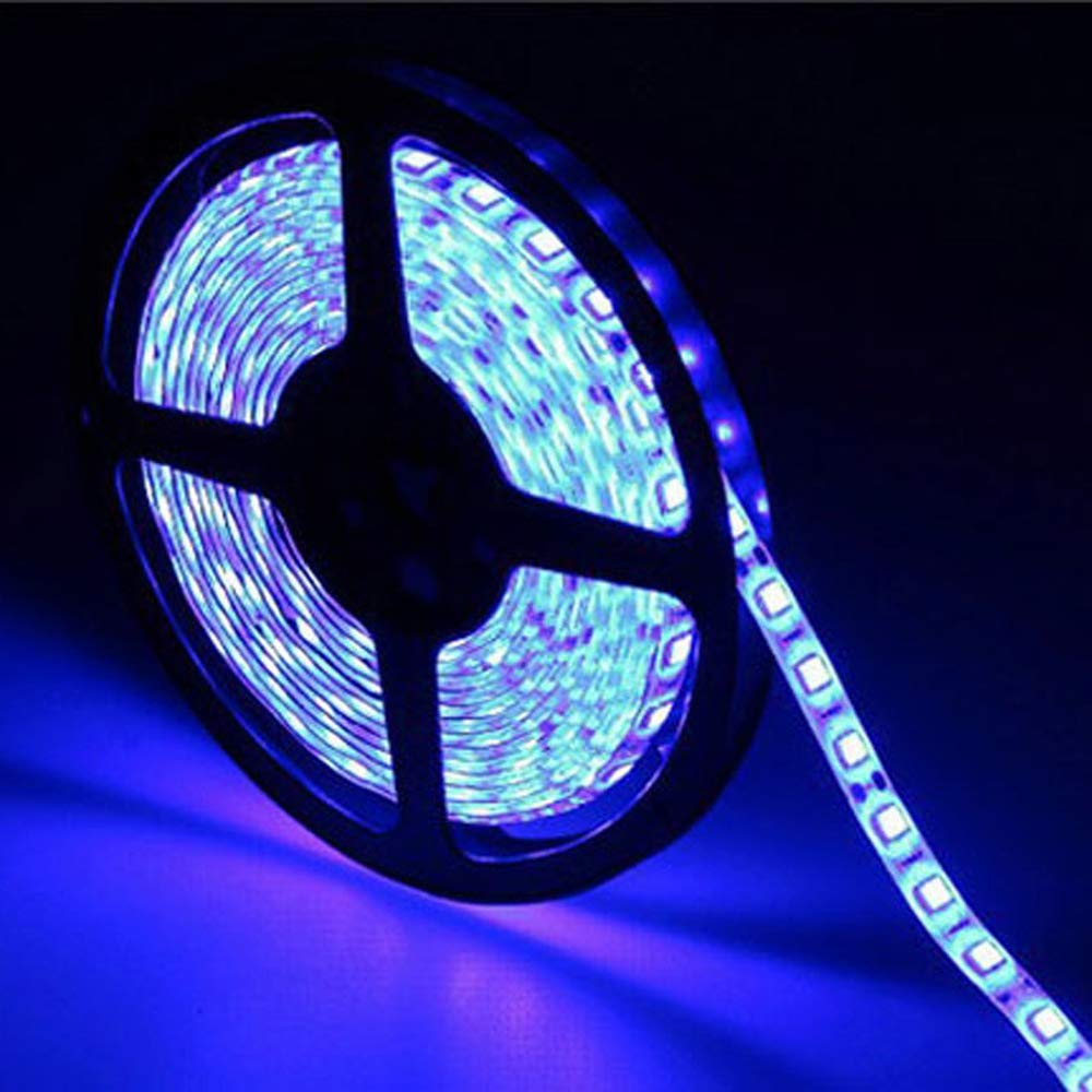 Velain 12V LED Strip Light, 16.4ft Waterproof Flexible Rope Light, 300 LEDs, Blue