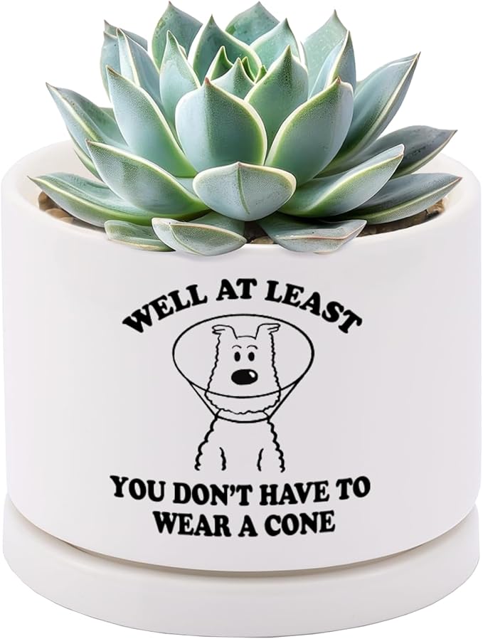 Well at Least You Don’t Have to Wear A Cone Recovery Gifts Ceramic Succulent Plant Pot with Tray Get Well Soon Gifts After...