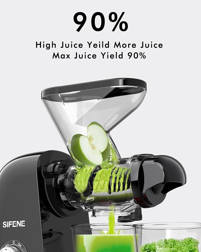 Slow Masticating Juicer Machine – Dual Feed Chute, Easy to Clean, Quiet Operation, High Juice Yield, BPA-Free Cold Press Juicer for Fruits & Vegetables, Black
