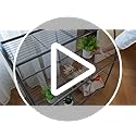 Simple Trending Plant Stand Outdoor Indoor 3 Tier Metal Waterproof Plant Shelf for Living Room Balcony Garden