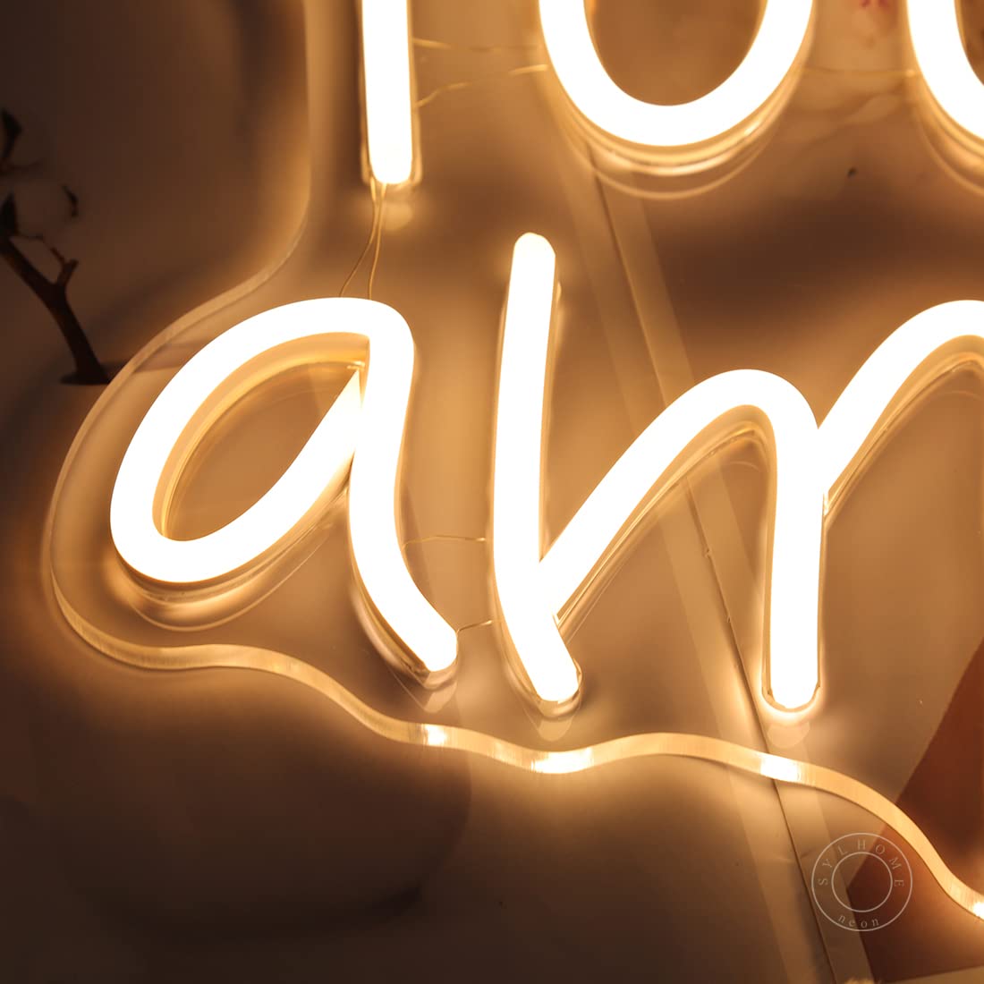 Sylhome Led Neon Light Sign - You Are Amazing, 16.9 X 10.6, Warm White Acrylic Decor For Bedroom, Classroom, Birthday & Christmas Gift