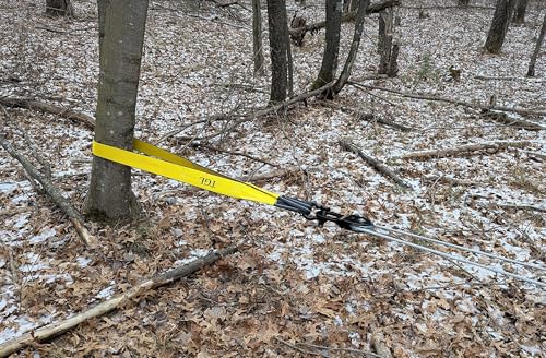 TGL 3 inch, 8 Foot Tree Saver Strap, Recovery Short Tow Strap with Loops, Winch Extension. 30,000 lbs MBS. Truck, UTV, ATV...