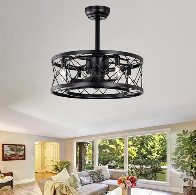 NicBex Ceiling Fan 20 Inch Indoor Modern Ceiling Fan with Lights Ceiling Fans with 5 Blades and Remote Control Small Caged Ceiling Fan for Bedroom, Living Room, Matte Black