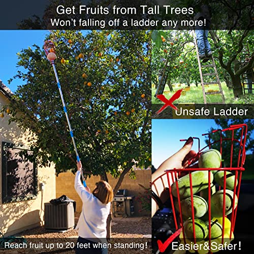 DonSail Fruit Picker Pole Tool with Basket Long Handle, 35-65 Inch Adjustable Apple Orange Picker Pole Tool with Basket fo...
