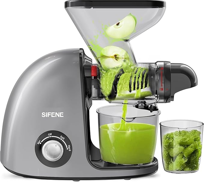 Slow Masticating Cold Press Juicer Machine - Dual Mouth, Quiet, Easy Clean, Gray