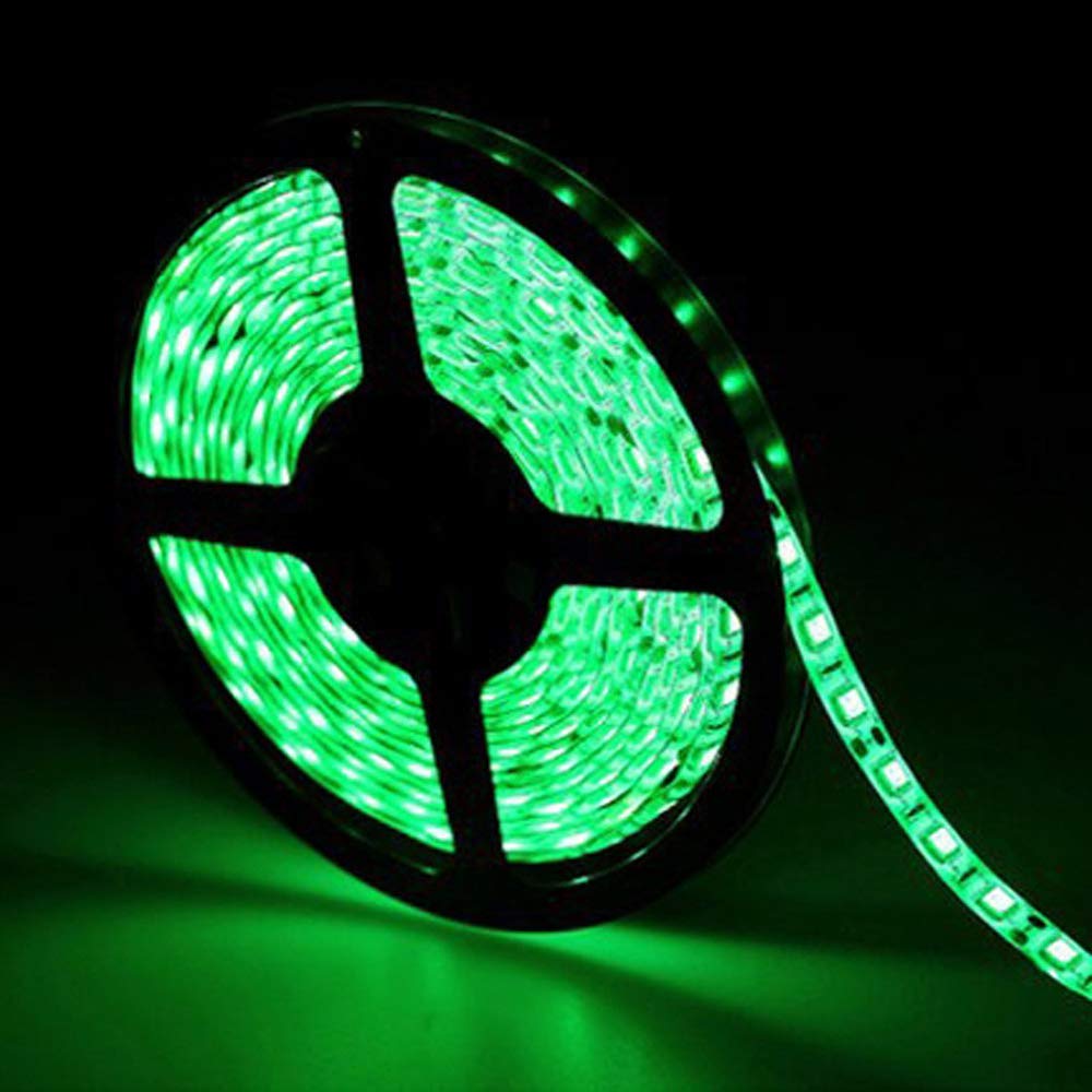 Velain 12V LED Strip Light, 16.4ft Waterproof Flexible Rope Light, 300 LEDs SMD5050, Green