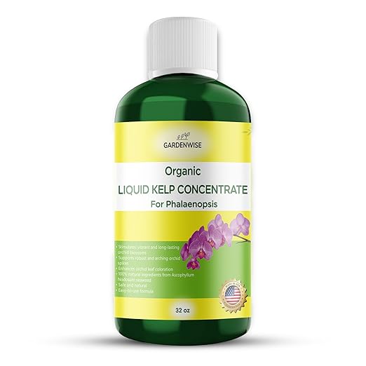 Organic Premium Kelp Seaweed Concentrate: Fertilizer for Orchid Plants; Indoor Orchid Fertilizer - Orchid Food - Orchid Plant Food (32 OZ)