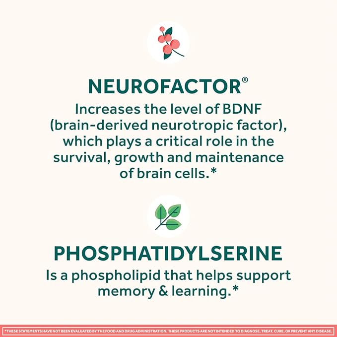 NEURIVA Original Brain Supplement for Memory, Focus & Concentration + Learning & Accuracy with Clinically Tested Nootropics Phosphatidylserine and Neurofactor, Caffeine Free, 30 Capsules (2 Pack)