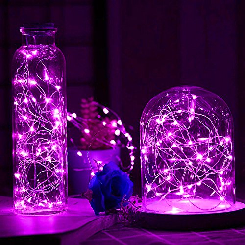 LIIDA LED String Lights 10-Pack, 6.6FT Purple Moon Lights, 20 LED Micro Lights on Silver Copper Wire, Batteries Included