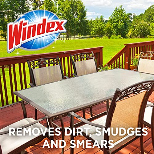 Windex Outdoor Window and Glass Cleaner for Hose Ammonia Free, Concentrated Formula for Deep Outdoor Clean, Patio Cleaner,...