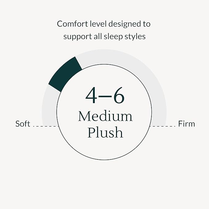 Leesa Legend Hybrid 12" Mattress, Full Size Luxury Dual Hybrid/CertiPUR-US Certified/with Organic Cotton Mattress Cover / 100-Night Trial