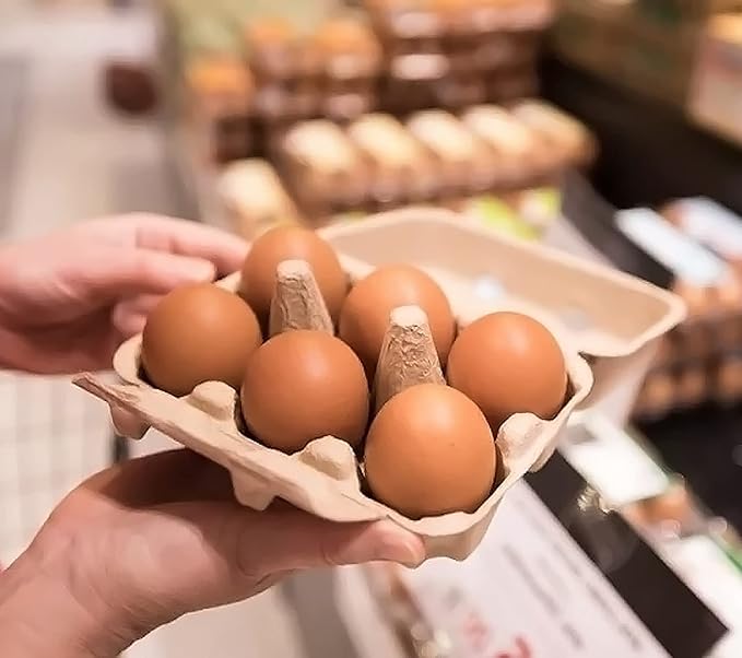 30 Pack Half Dozen Egg Cartons, Blank Natural Pulp Egg Carton Bulk 6 Count for Chicken Eggs and Duck Eggs, Reusable, Protects, Egg Storage Containers for Home Kitchen and Farmhouse (30 PCS 6 Count)
