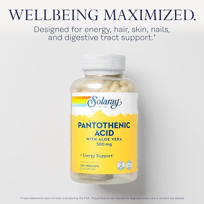 SOLARAY Pantothenic Acid 500mg - Vitamin B 5 - B Vitamin for Coenzyme-A Production, Energy Metabolism, Digestive Health, Hair Health, Skin and Nails Support - Vegan, 60-Day Guarantee - 250 VegCaps