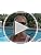 Duduma Polarized Sports Sunglasses for Men Women Running Cycling Fishing Golf Driving Shades Sun Glasses Tr90