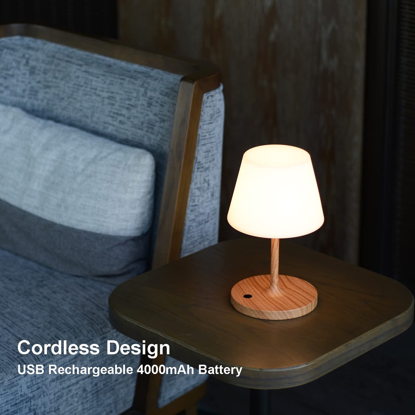 LOTITOL Outdoor Table Lamp/Cordless USB Rechargeable 4000mAh / 2700K LED/Touch Dimmable/Portable Battery Operated / IP44 Waterproof/PE Shade/Bedroom Dinning Camping Patio (9.6in, Wood Grain)