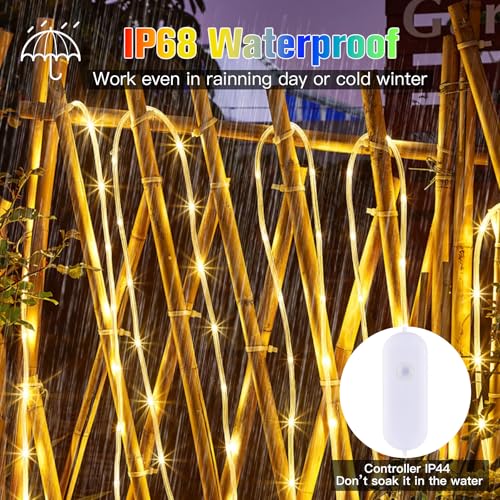 Nazuwke 99Ft LED Rope Lights Outdoor, 18 Colors Changing Fairy String Light Plug in with Remote, IP68 Waterproof 300 LEDs ...