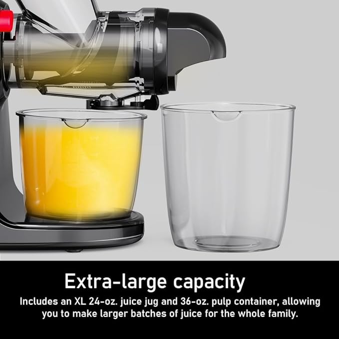 Slow Masticating Cold Press Juicer Machine - Dual Mouth, Quiet Motor, Anti-Clog, Black