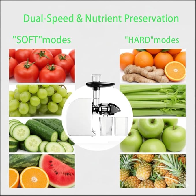 MegaWise Cold Press Slow Masticating Juicer – Quiet Motor, Soft & Hard Modes, Vegetable & Fruit Juice Extractor, Easy-to-Clean Design, High Juice Yield, Black