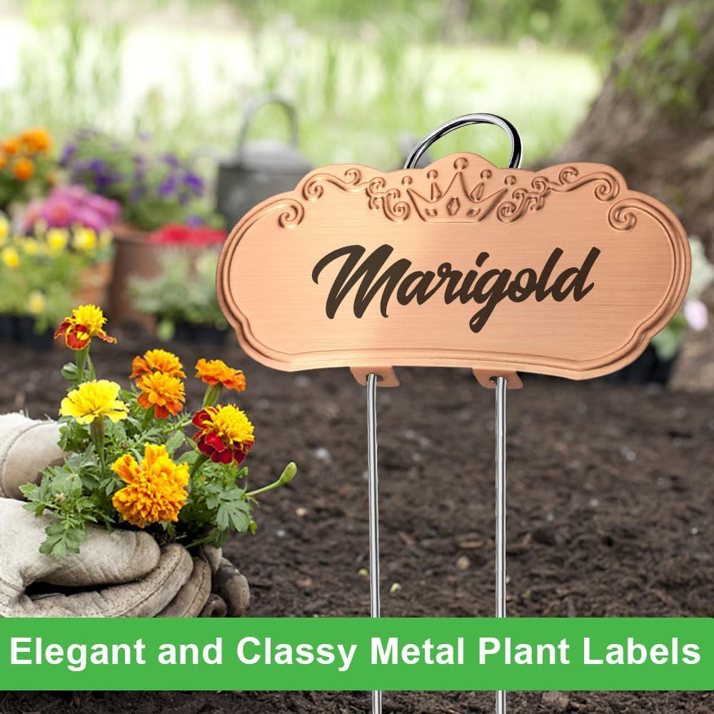 30 PacksTCYPUHL Metal Plant Labels, Tall Outdoor Garden Markers for Flowers, Fruits and Vegetables, 304 Stainless Steel Weatherproof Signs (4" x 1.9", Silver, Black and Gold)